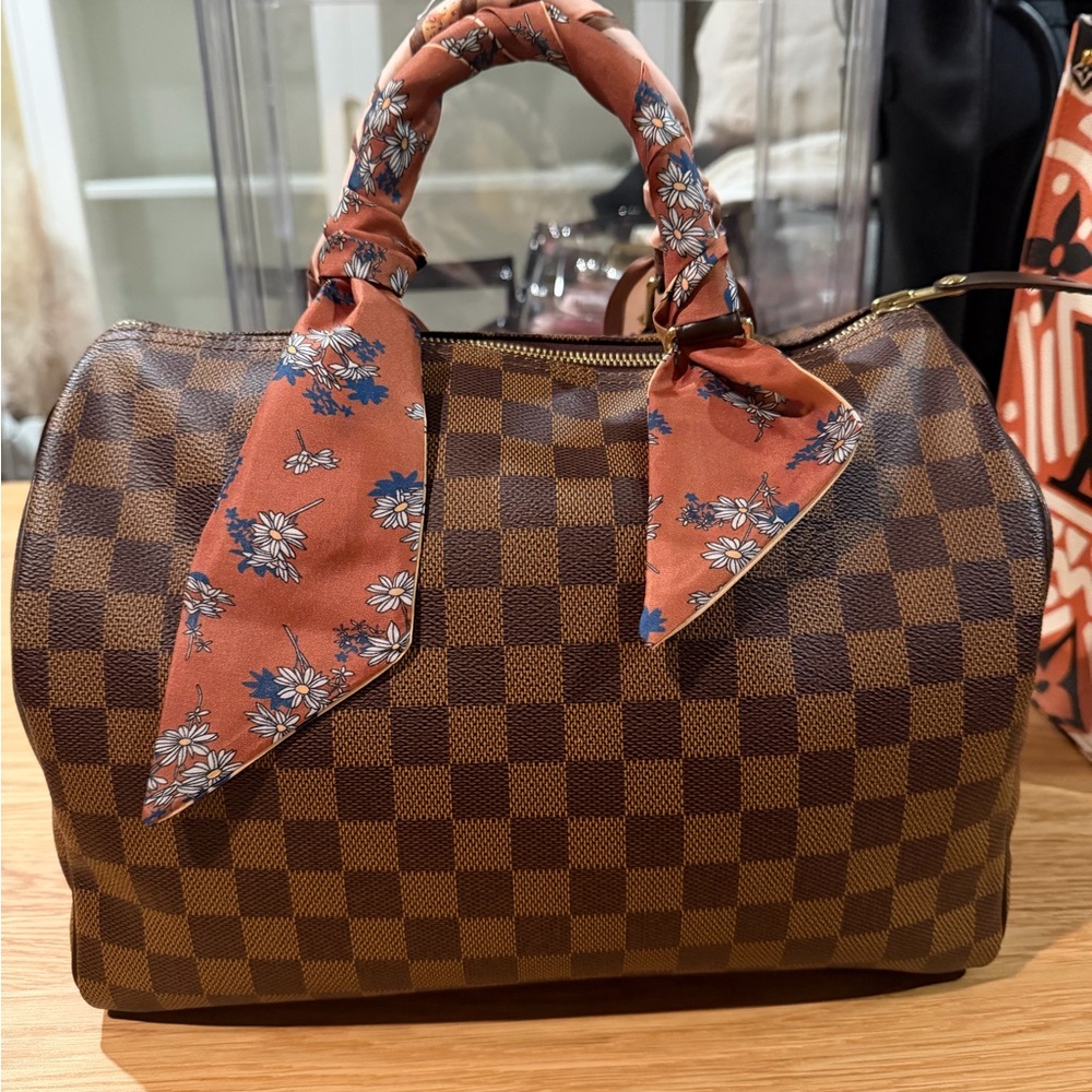 Louis Vuitton Damier Ebene Speedy 30
